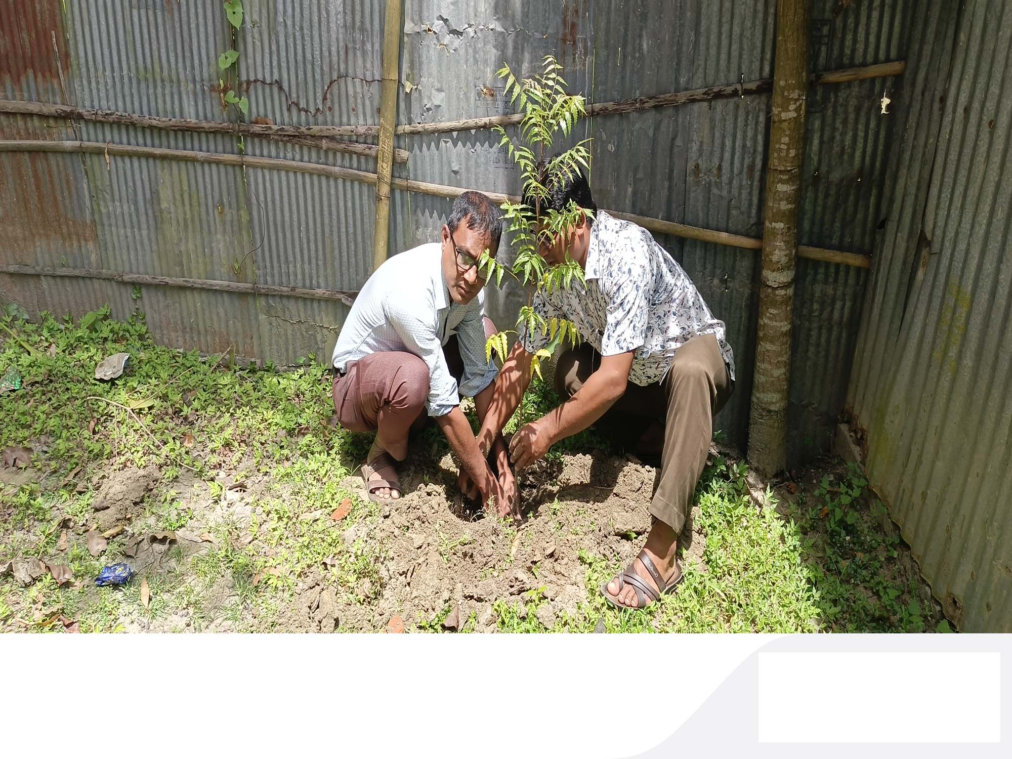 গাগলা বালিকা বহুমূখী উচ্চ বিদ্যালয়ে বৃক্ষরোপন কর্মসূচী পালন।